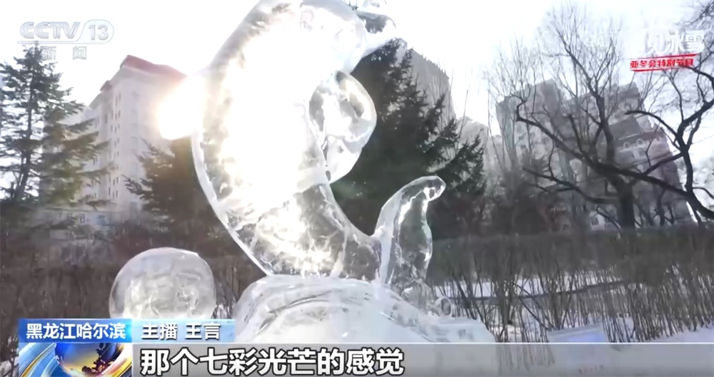 主播遇见冰雪｜打卡哈尔滨人的童年冰雪记忆 “流淌”中编织美好冰雪梦