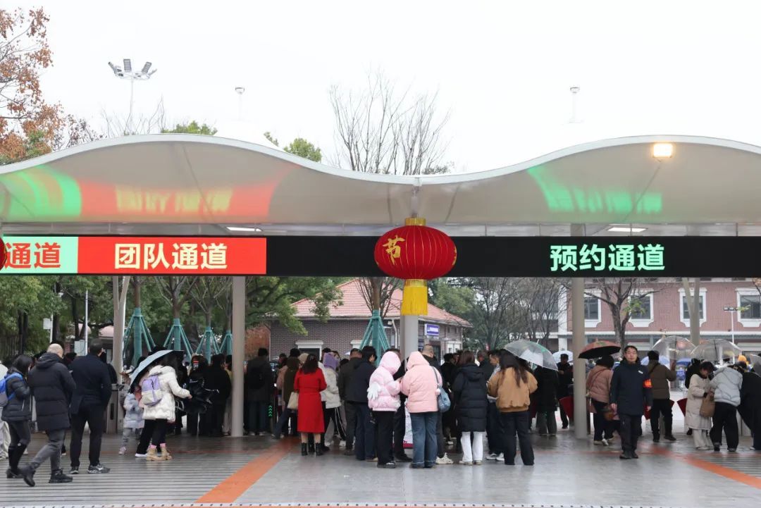 橘子洲景区，上新了！