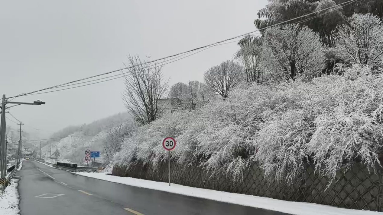 寒潮来袭 浙江出现降温降雪过程