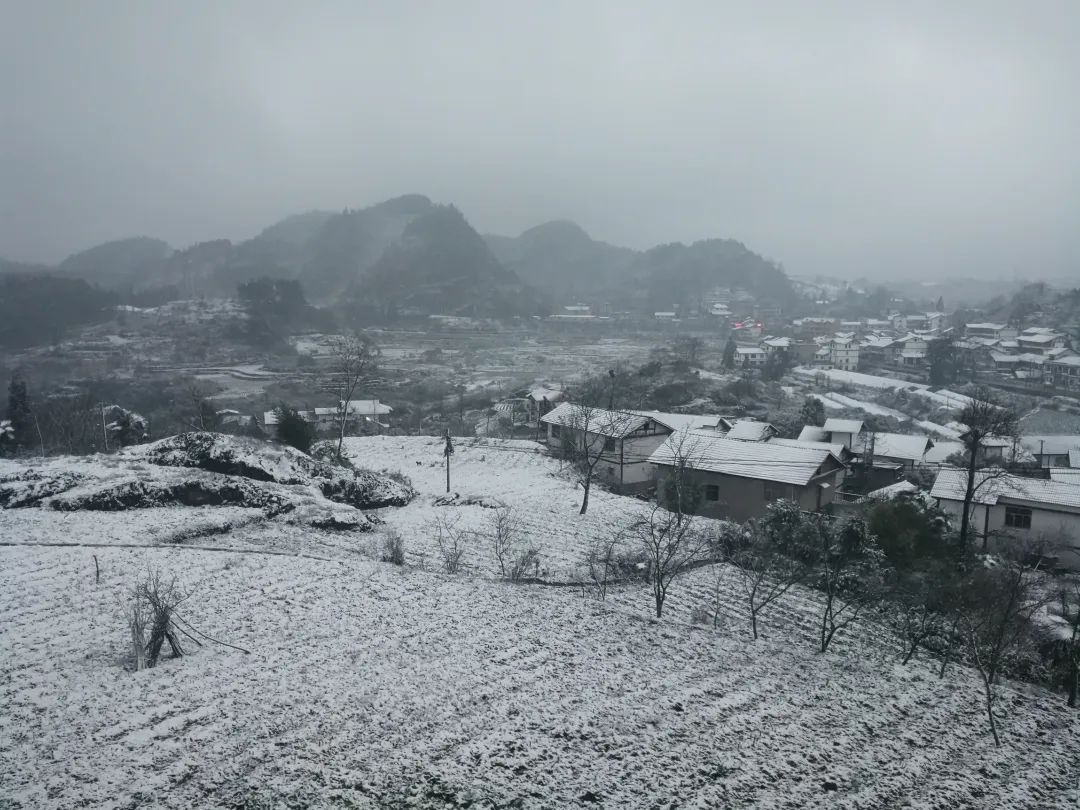 一觉醒来，贵州31地出现降雪，最大雪深2厘米！网友：头皮雪也是雪