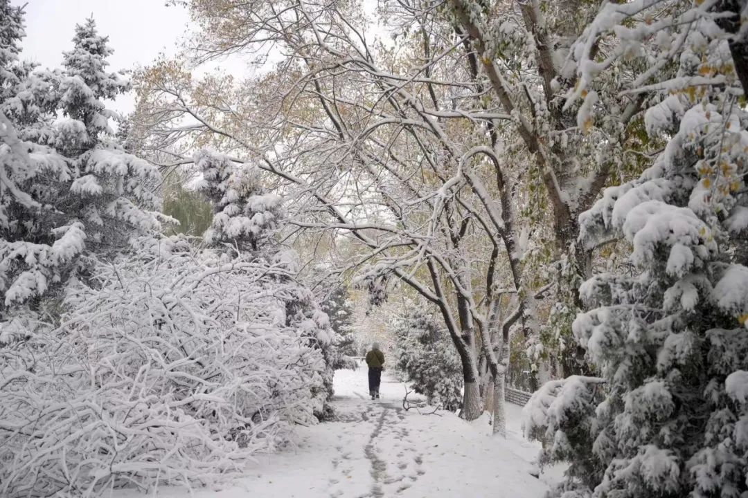 沈阳人请注意!有暴雪!今晚就开下!雪后还有大降温! 沈阳人请注意!有暴雪!今晚就开下!雪后还有大降温!