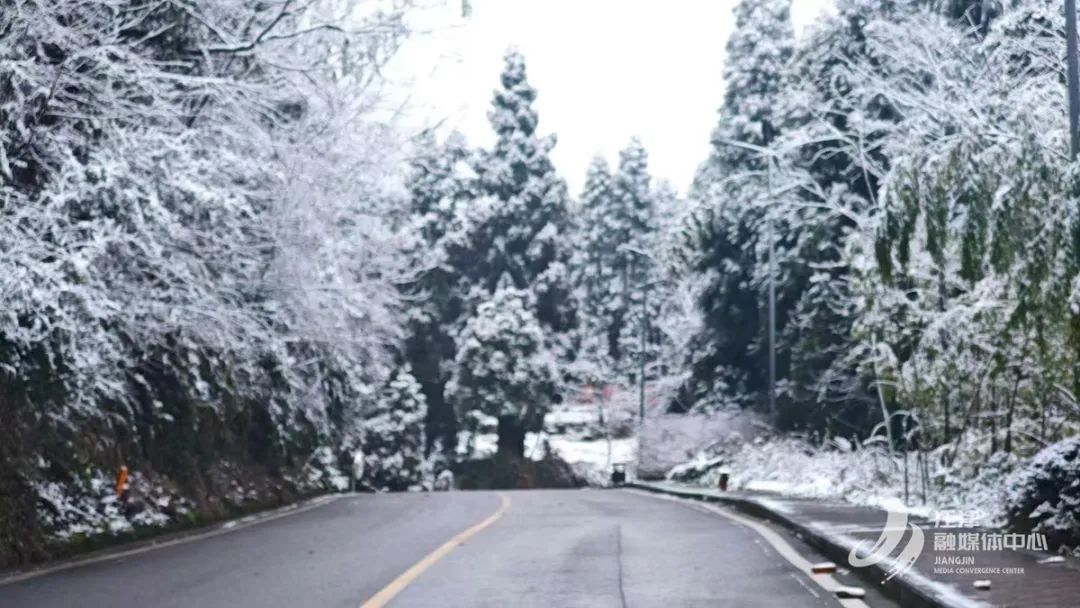 瑞雪兆丰年｜重庆下！雪！啦！