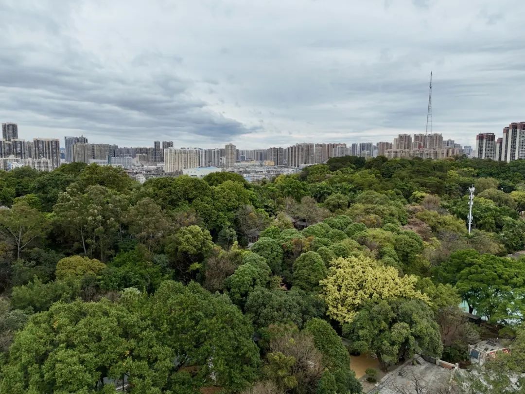寒潮席卷广西，带来降温降雨+大风！接下来气温还要降！