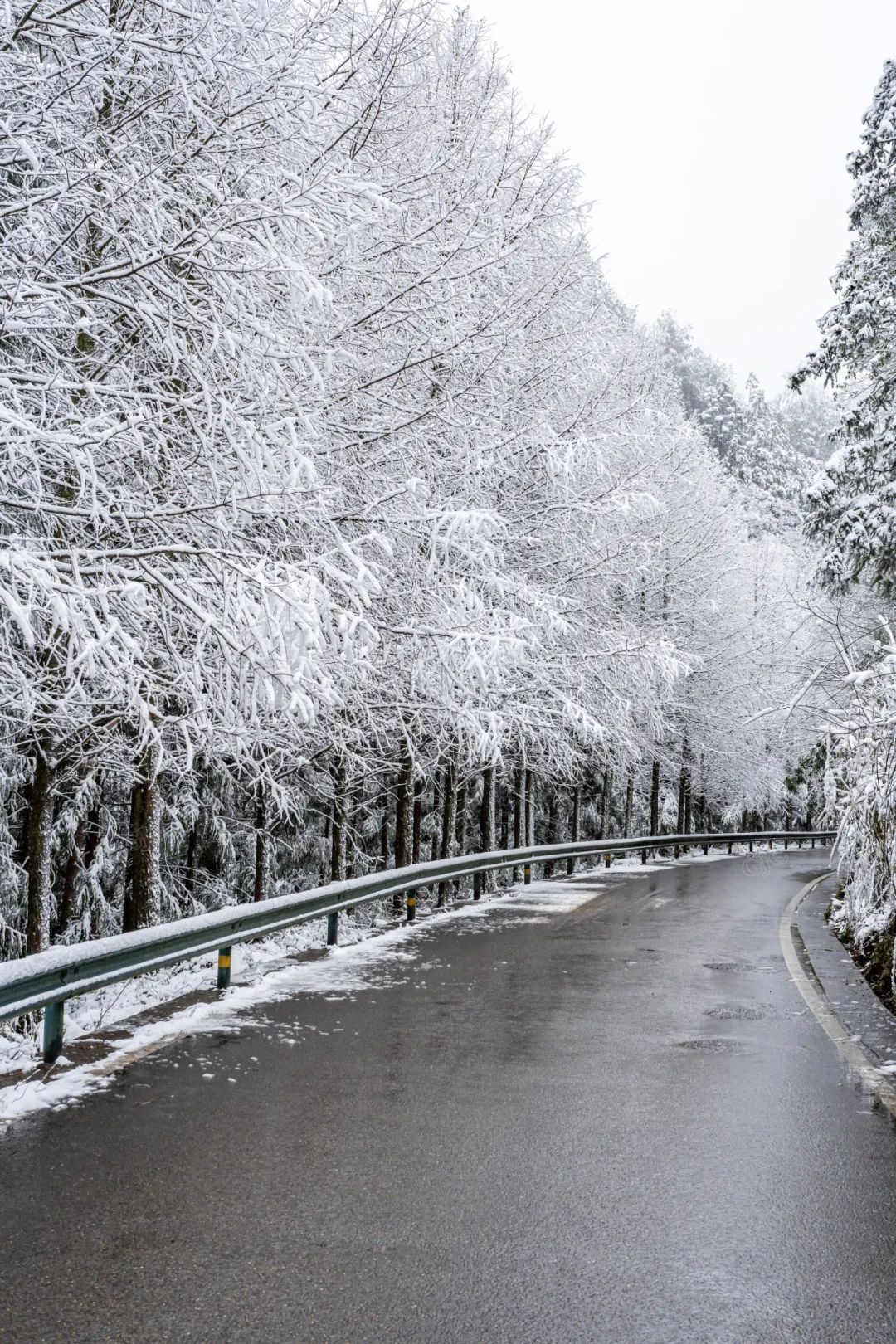 瑞雪兆丰年｜重庆下！雪！啦！