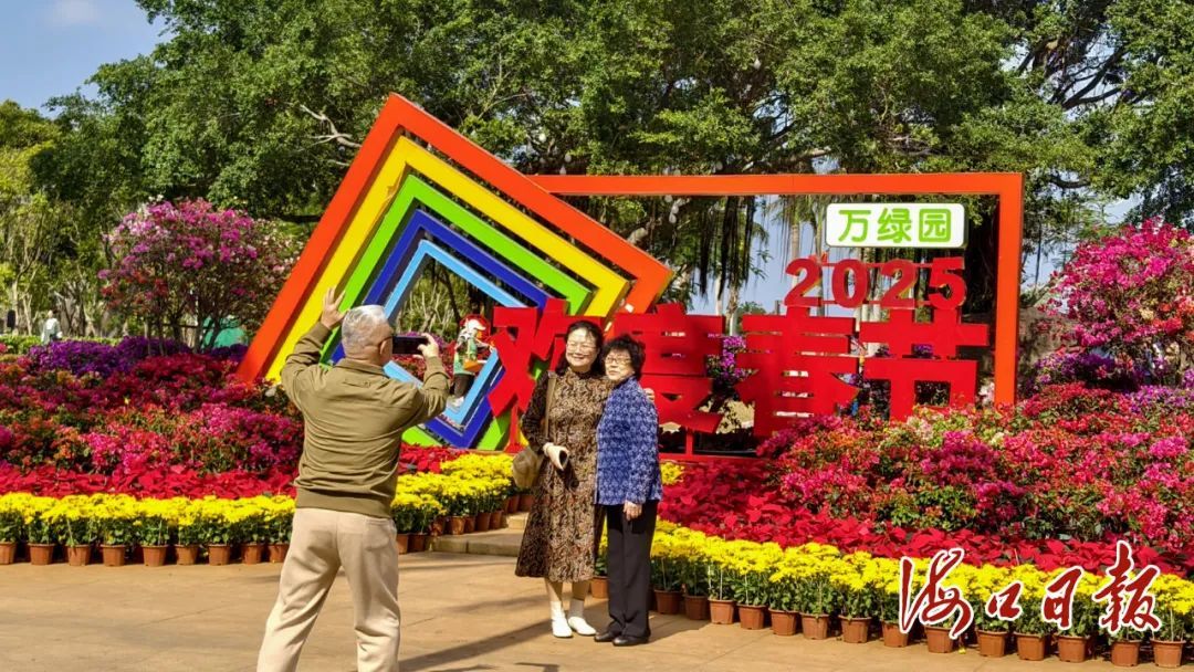 海口街头“花”样迎春节