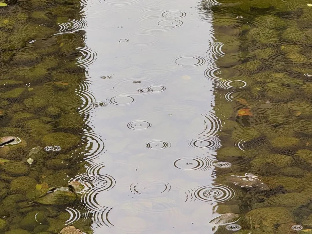 寒潮席卷广西，带来降温降雨+大风！接下来气温还要降！