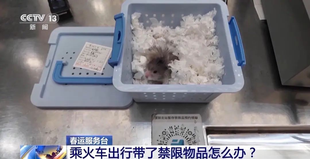 丢东西、年货运不了……在火车站遇到棘手事，这样做→