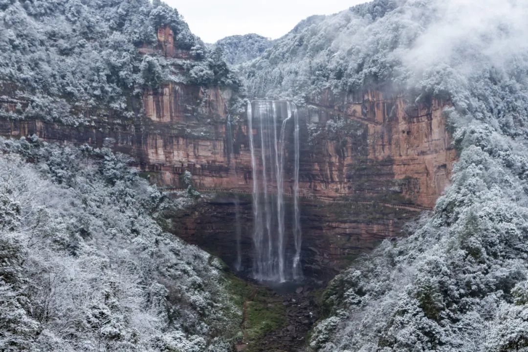 瑞雪兆丰年｜重庆下！雪！啦！