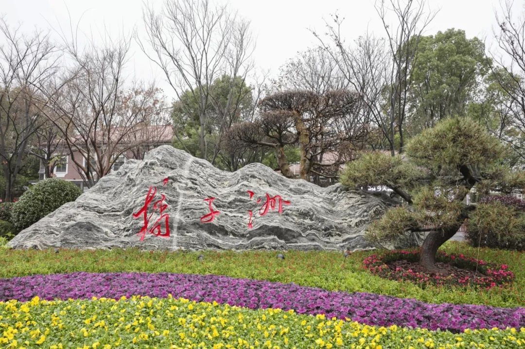 橘子洲景区，上新了！