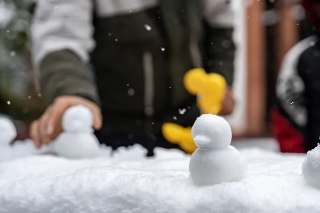 瑞雪兆丰年｜重庆下！雪！啦！