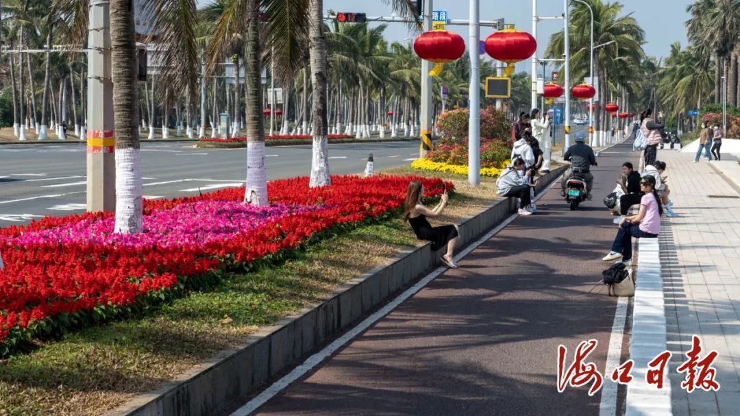 海口街头“花”样迎春节