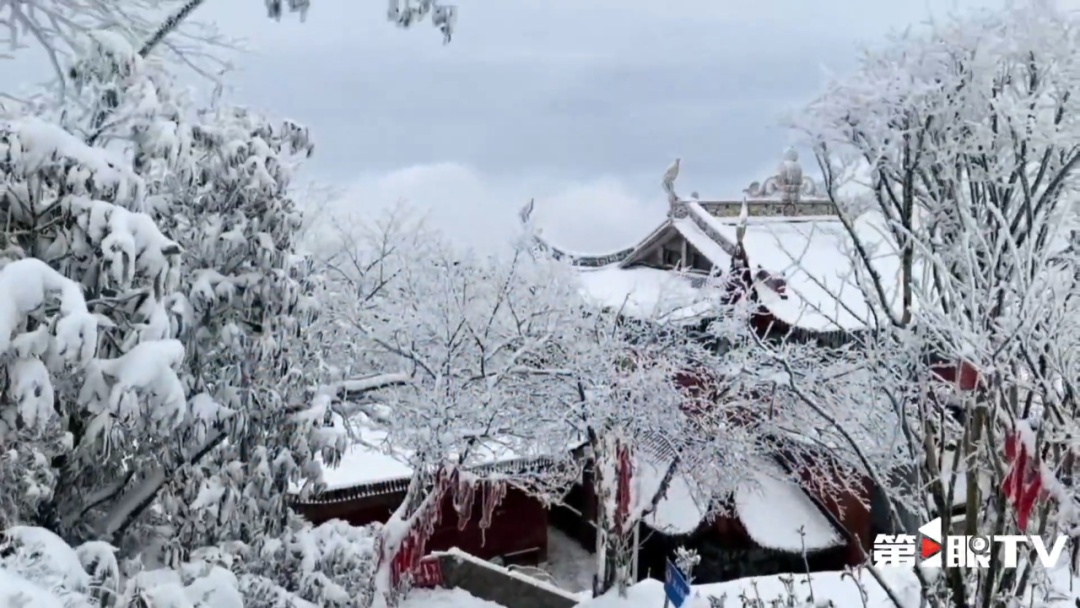 瑞雪兆丰年｜重庆下！雪！啦！