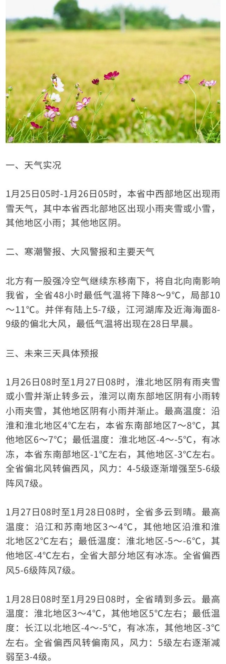 大降温+阵风8级！南京发布寒潮和大风警报