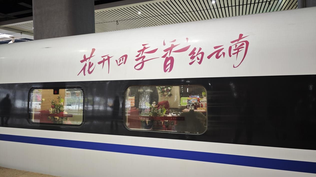 “花开四季‘香’约云南”赏花之旅列车开行 “花开四季‘香’约云南”赏花之旅列车开行