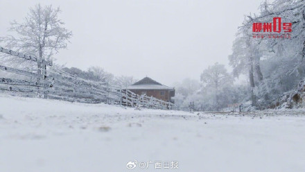 瑞雪兆丰年！在柳州融水邂逅雪中的年味