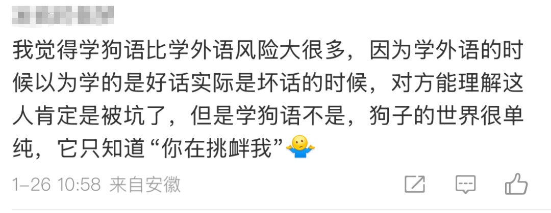 男子学狗语和爱犬沟通，凌晨紧急送医，脸被咬穿！医生提醒：这个动作很大风险！