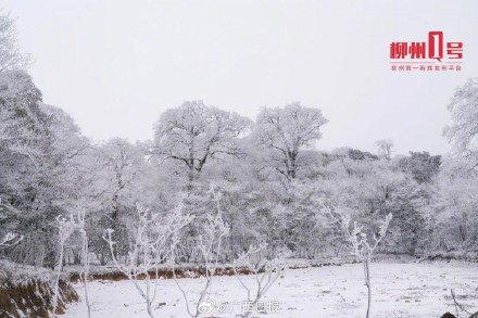 瑞雪兆丰年！在柳州融水邂逅雪中的年味