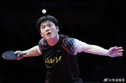 樊振东自动获得多哈乒赛决赛参赛资格! 樊振东自动获得多哈乒赛决赛参赛资格!