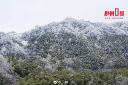 瑞雪兆丰年！在柳州融水邂逅雪中的年味