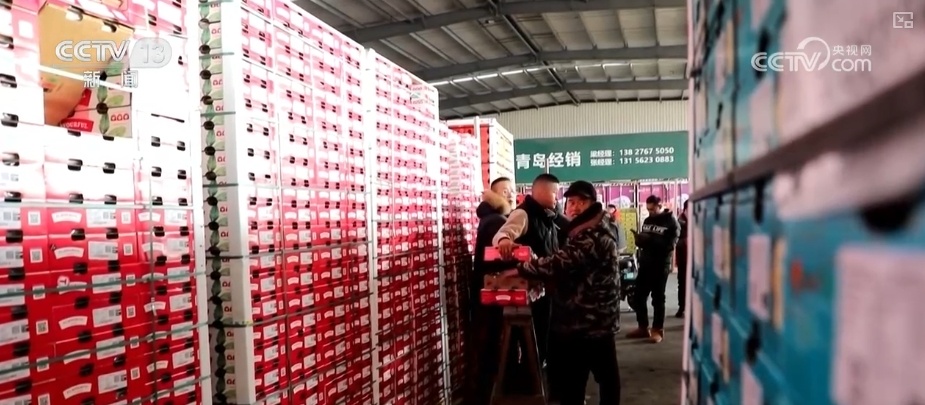 新春购销市场红红火火 百姓“年货清单”新意十足 新春购销市场红红火火 百姓“年货清单”新意十足