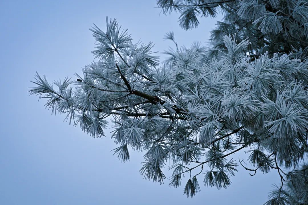 昆明，可以堆雪人啦！