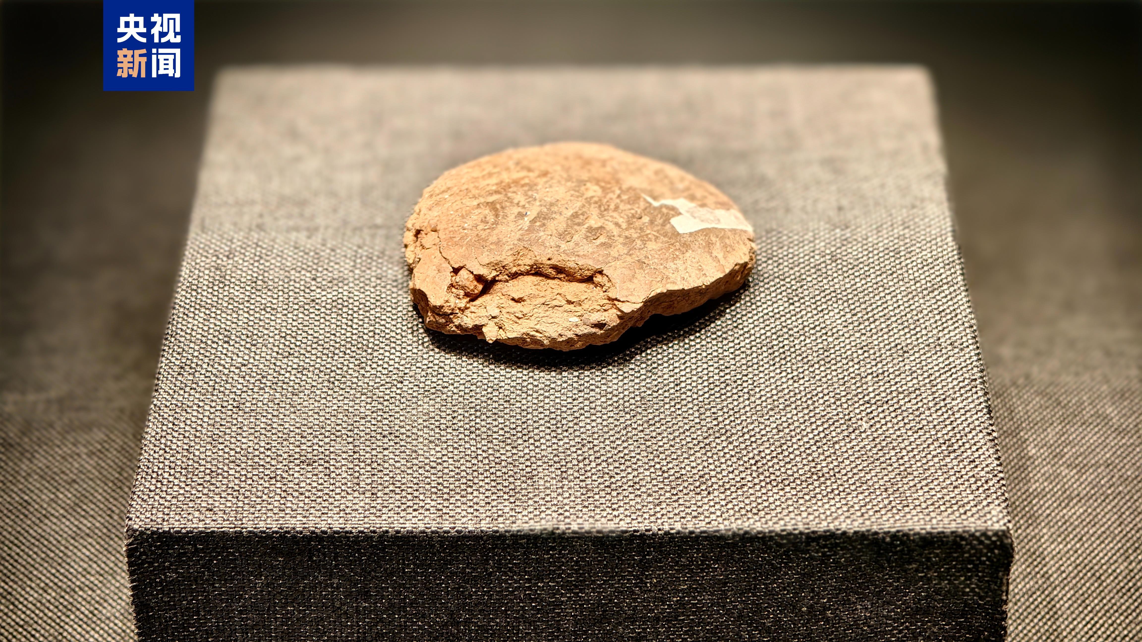 考古人员现场修复唐代龙首!来这个展感受科技考古与文保工作魅力 考古人员现场修复唐代龙首!来这个展感受科技考古与文保工作魅力