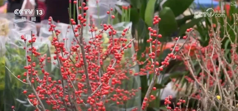 新春购销市场红红火火 百姓“年货清单”新意十足 新春购销市场红红火火 百姓“年货清单”新意十足