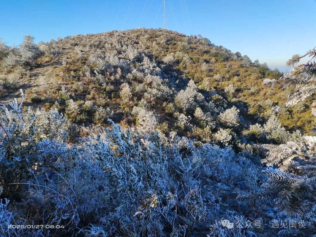 最低仅-2.3℃！福州雾凇美景上线！接下来几天太刺激……