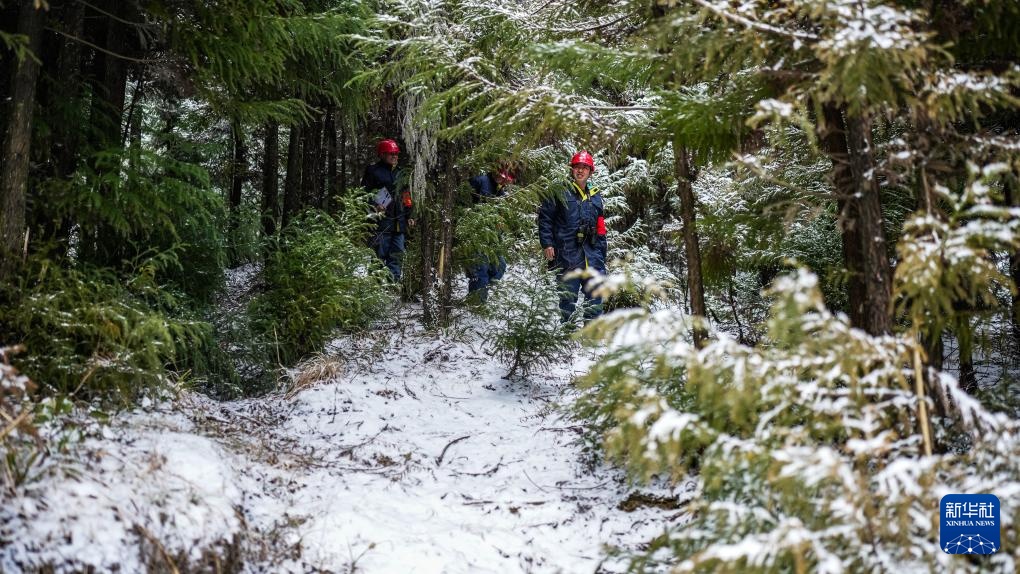 新春走基层丨踏雪巡线保供电