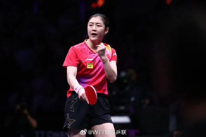 樊振东冲上热搜第一！陈梦也有新消息→