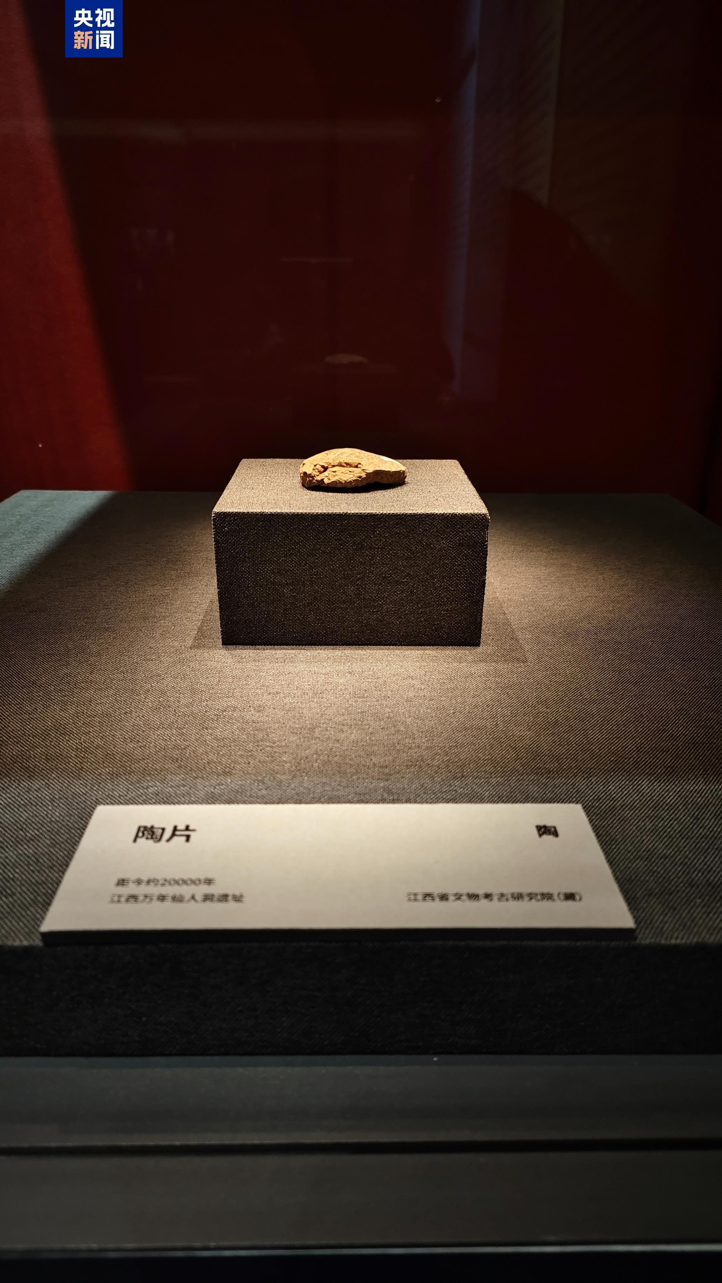 考古人员现场修复唐代龙首!来这个展感受科技考古与文保工作魅力 考古人员现场修复唐代龙首!来这个展感受科技考古与文保工作魅力