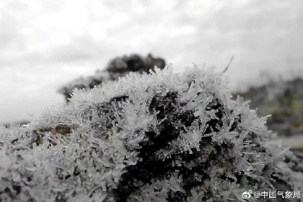 贵阳年关将至 &nbsp;蔬菜穿新衣