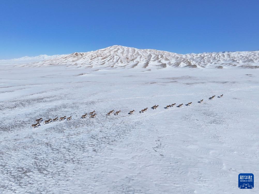 我国多地迎降雪