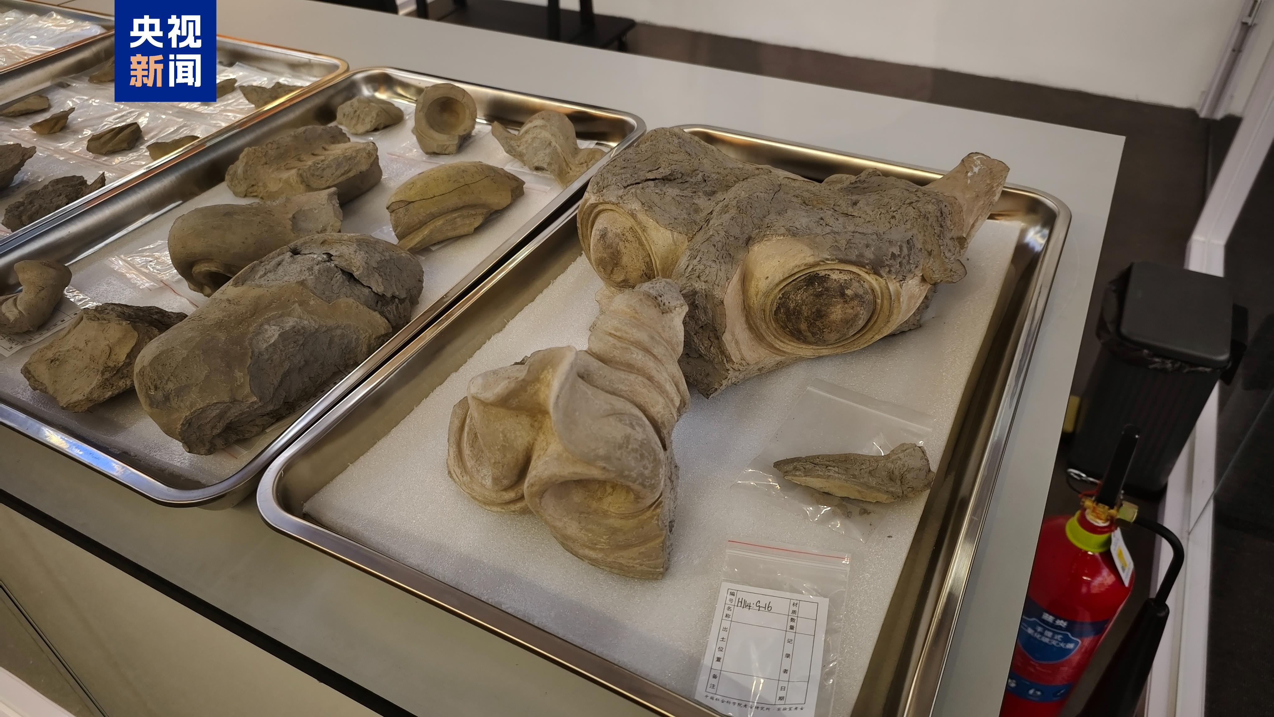 考古人员现场修复唐代龙首!来这个展感受科技考古与文保工作魅力 考古人员现场修复唐代龙首!来这个展感受科技考古与文保工作魅力