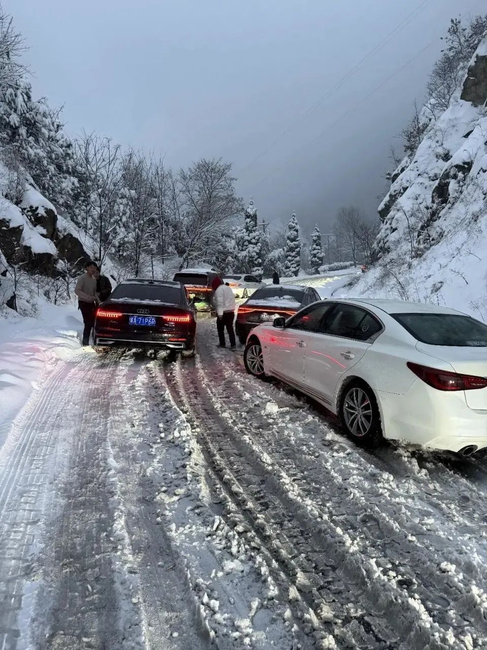 暴雪！封闭！有人被困在路上，紧急提醒