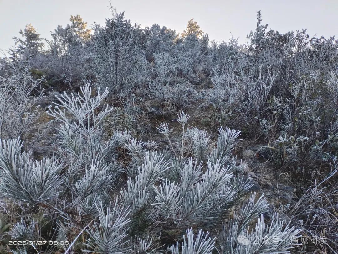 最低仅-2.3℃！福州雾凇美景上线！接下来几天太刺激……