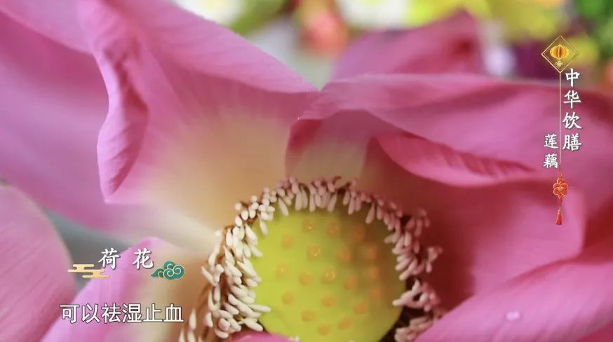 它是春节“平价”的滋补品,全身都是宝!血脂、血压都受益,4种吃法营养加倍 它是春节“平价”的滋补品,全身都是宝!血脂、血压都受益,4种吃法营养加倍