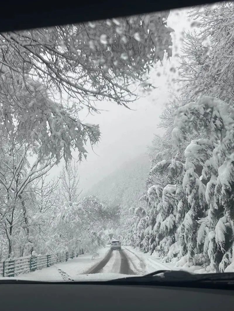 暴雪！封闭！有人被困在路上，紧急提醒