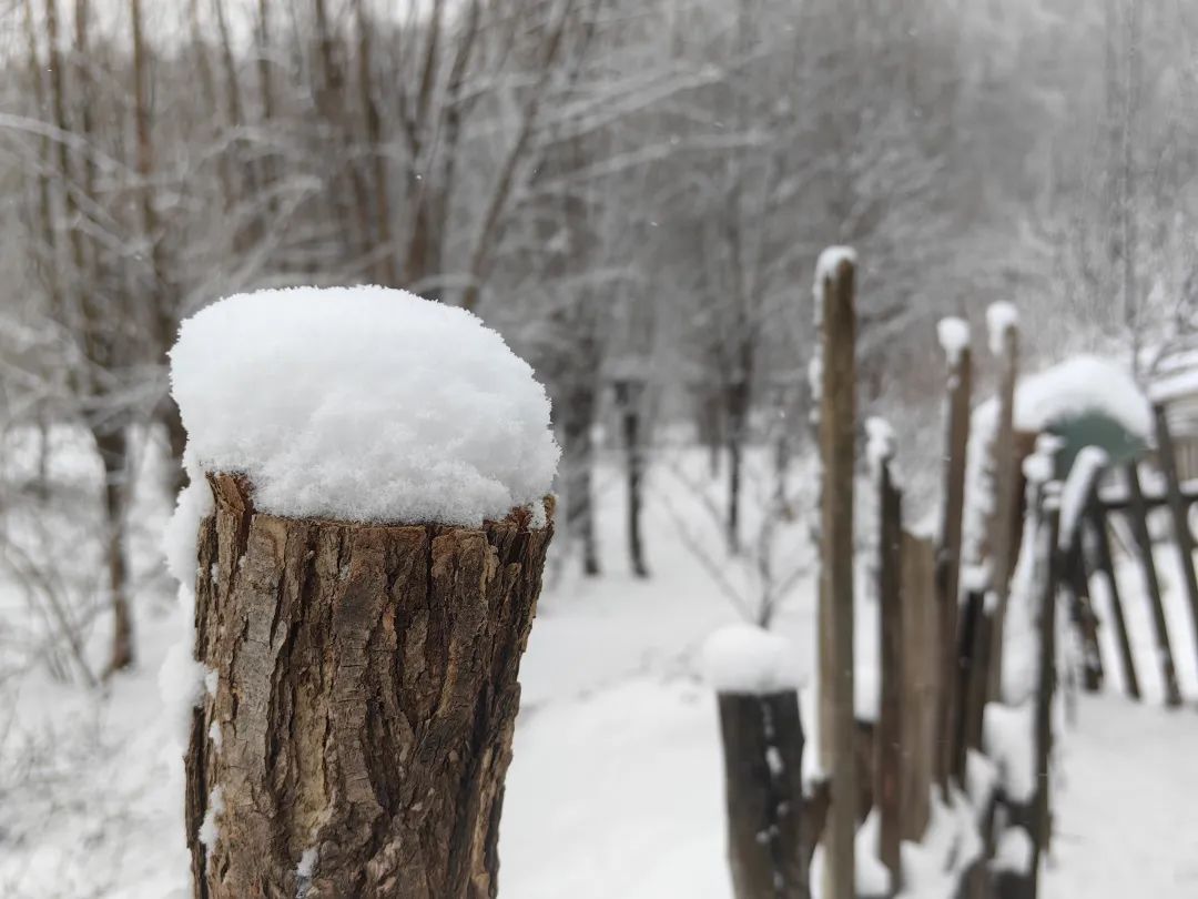 继续黄色预警，今日辽宁8地暴雪！