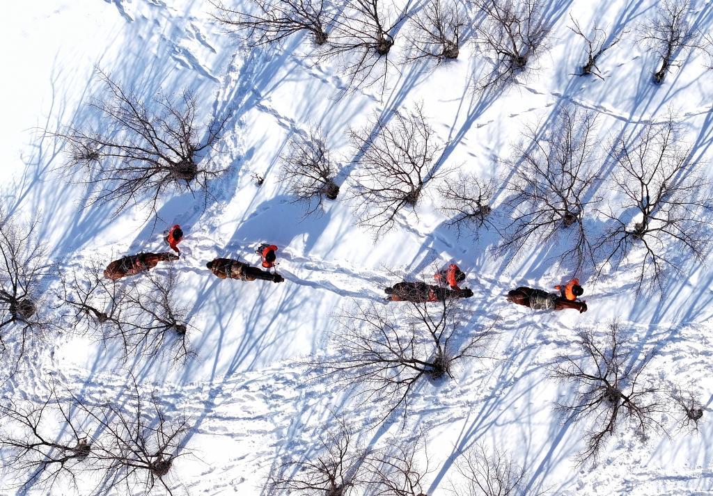 新春走基层丨骑马上天山，与中欧班列“守护人”踏雪同行