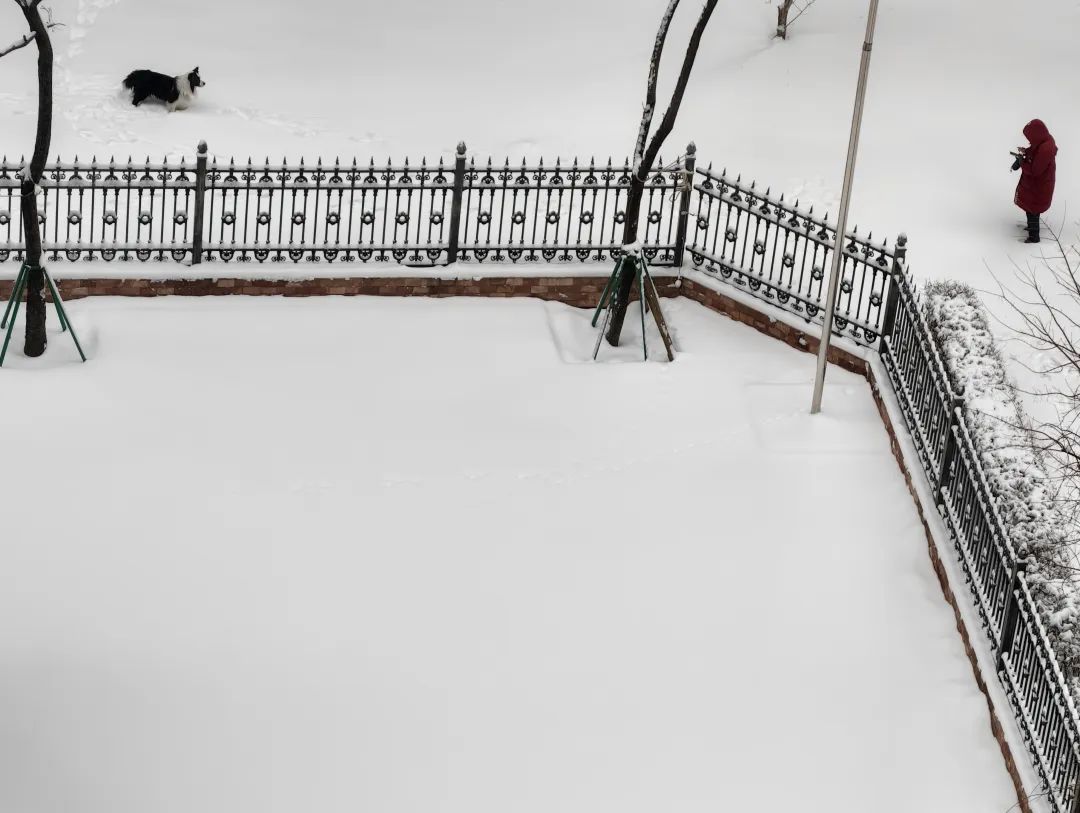 看看你家雪量排第几？今天多地仍有中雪