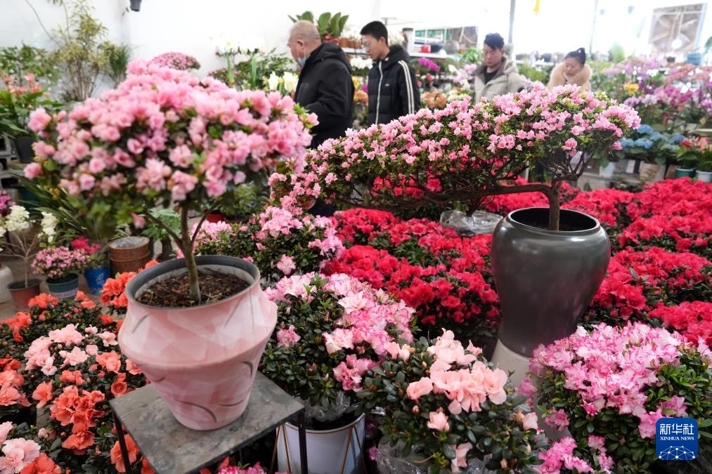 红红火火迎新春