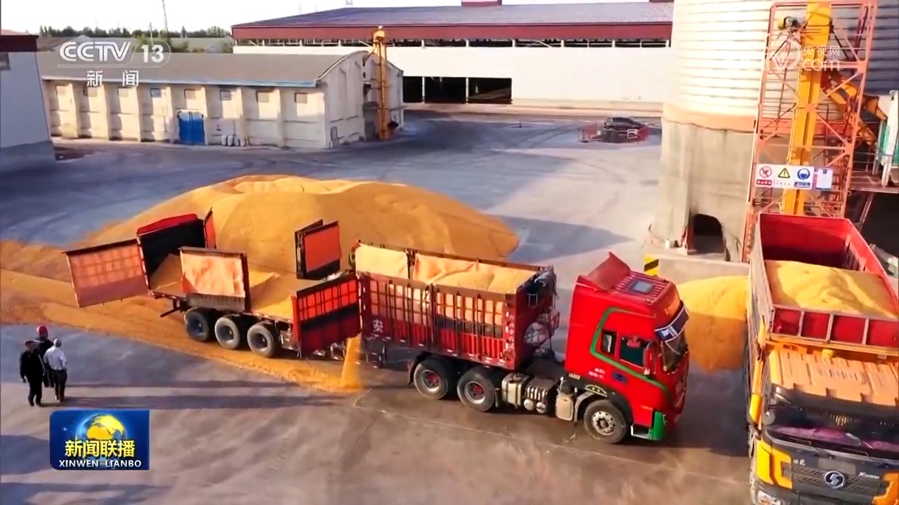 神州大地张灯结彩辞旧岁 喜迎欢乐祥和中国年