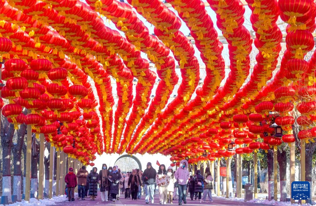 红红火火迎新春