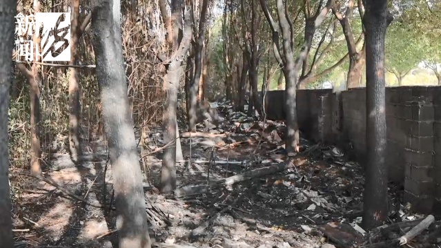 近期又冒头！很多上海人跟风，一不小心就违法…紧急提醒：已有人被抓