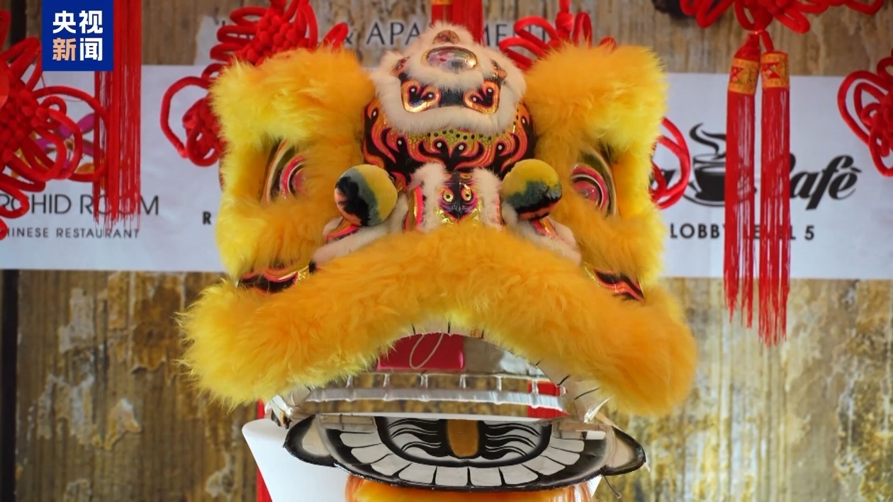 节日氛围浓厚 多国举办新春庆祝活动