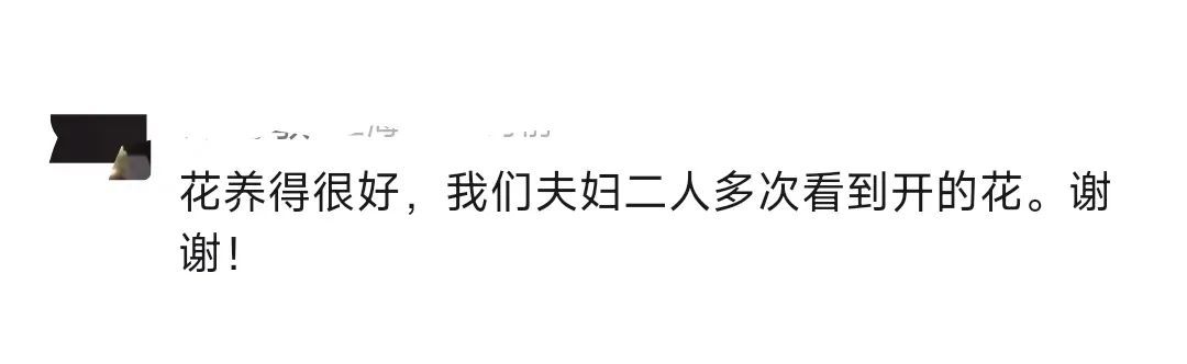 这位登上春晚的上海爷叔火了!有啥来头? 这位登上春晚的上海爷叔火了!有啥来头?