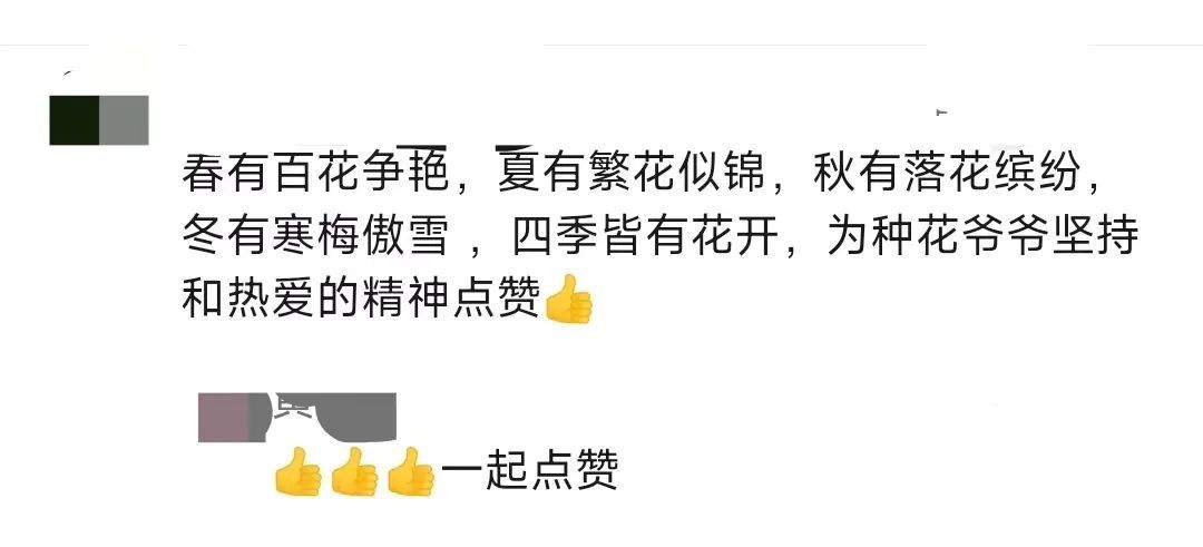 这位登上春晚的上海爷叔火了!有啥来头? 这位登上春晚的上海爷叔火了!有啥来头?