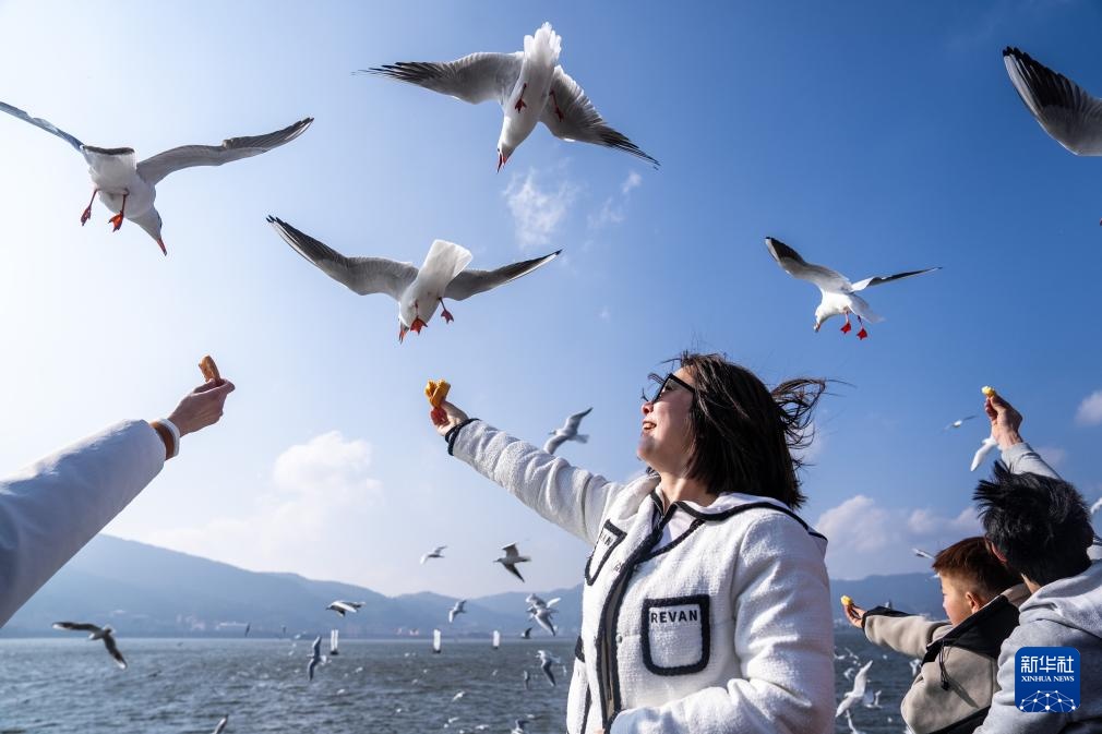 人鸥同乐过大年