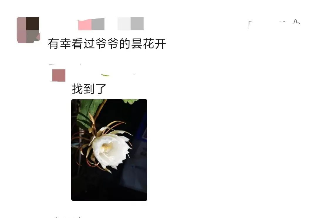 这位登上春晚的上海爷叔火了!有啥来头? 这位登上春晚的上海爷叔火了!有啥来头?